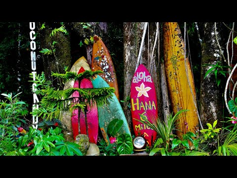 The Ultimate Travel Guide Maui Hawaii 2021 [How a Pro Creates a Maui Vacation]