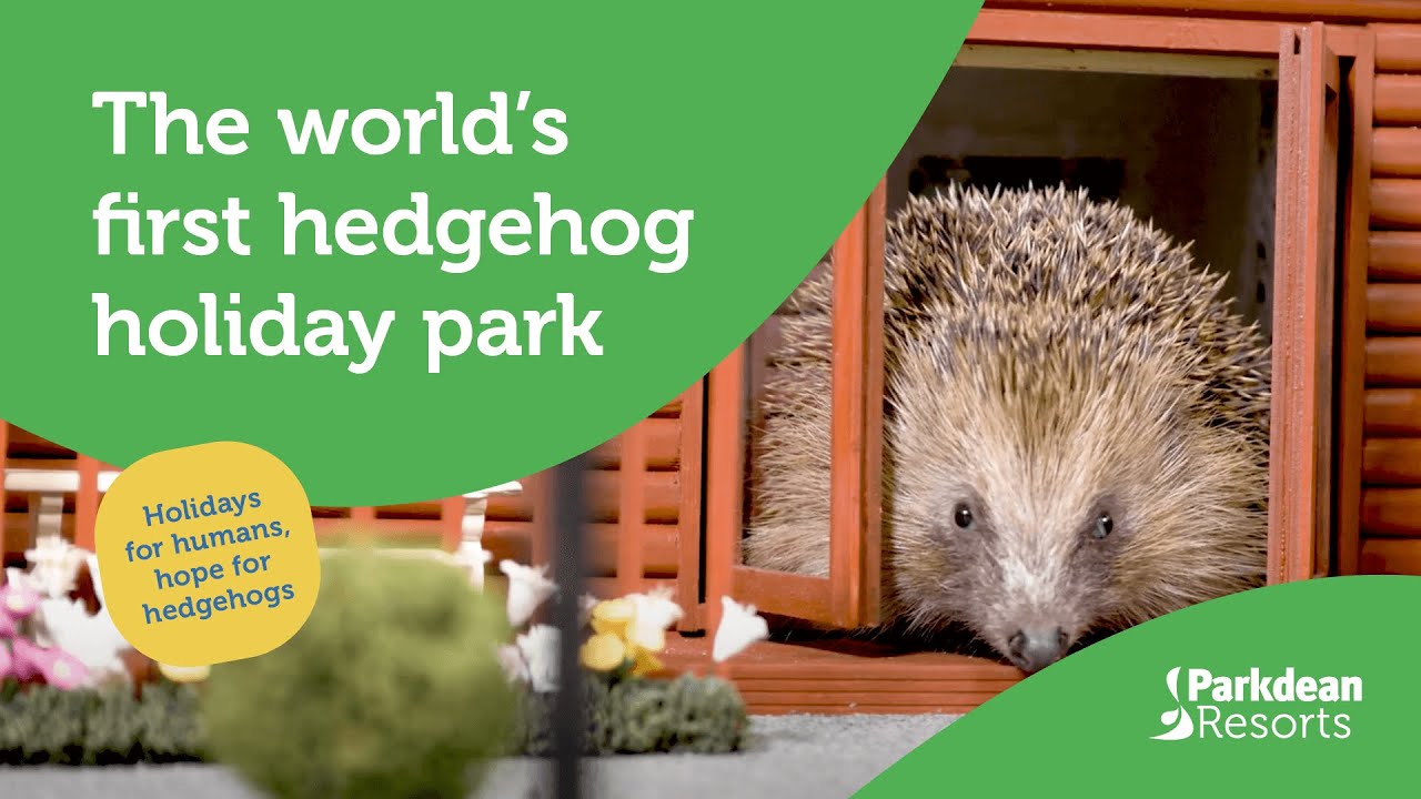 Hedgehog Holiday Park 1 Hedgehog Holiday Park