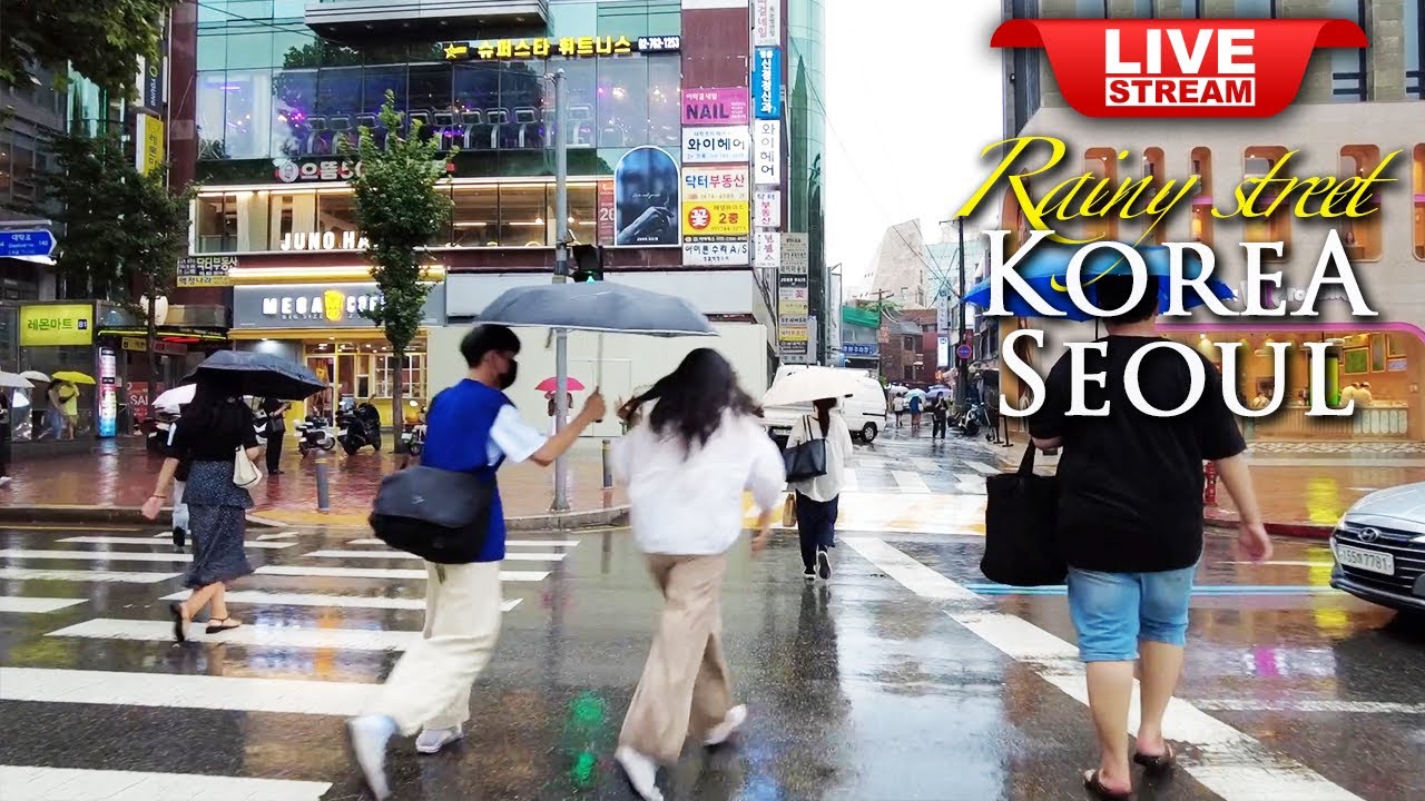 Beautiful Rainy Seoul Walking Tour- Daehakro rainy street - Korea Four seasons Travel Vlog LIVE TV18
