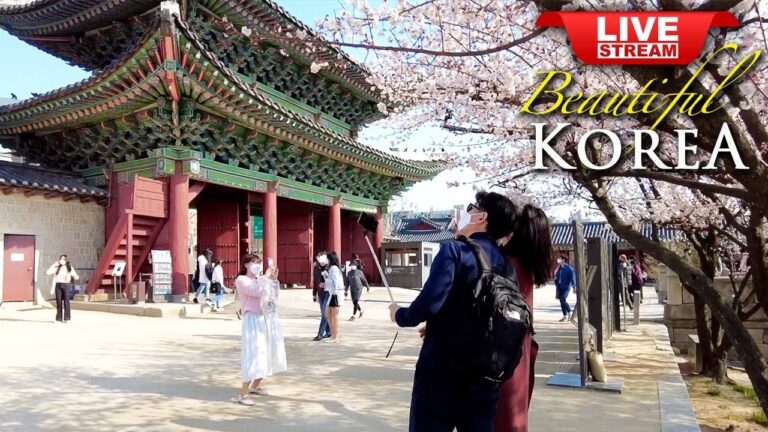 Korea Walking Tour  – Beautiful Changdeokgung Palace in Seoul – Korean History Walk Travel Vlog TV