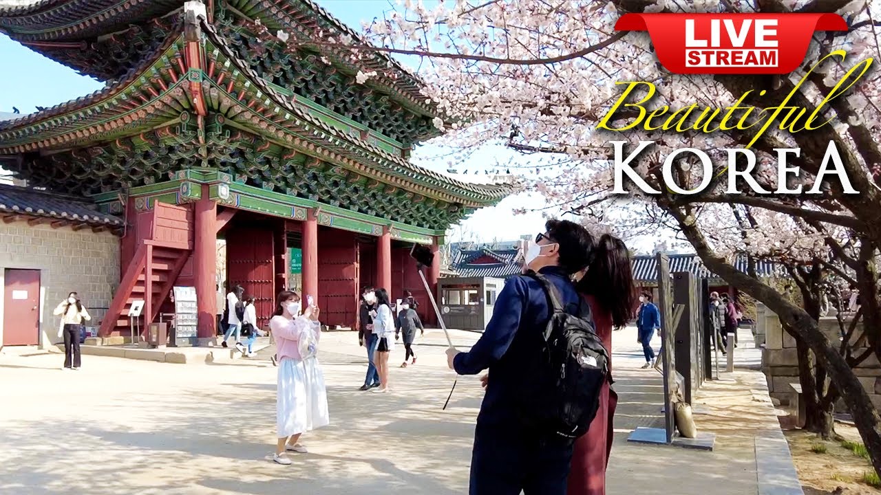 Korea Walking Tour  - Beautiful Changdeokgung Palace in Seoul - Korean History Walk Travel Vlog TV