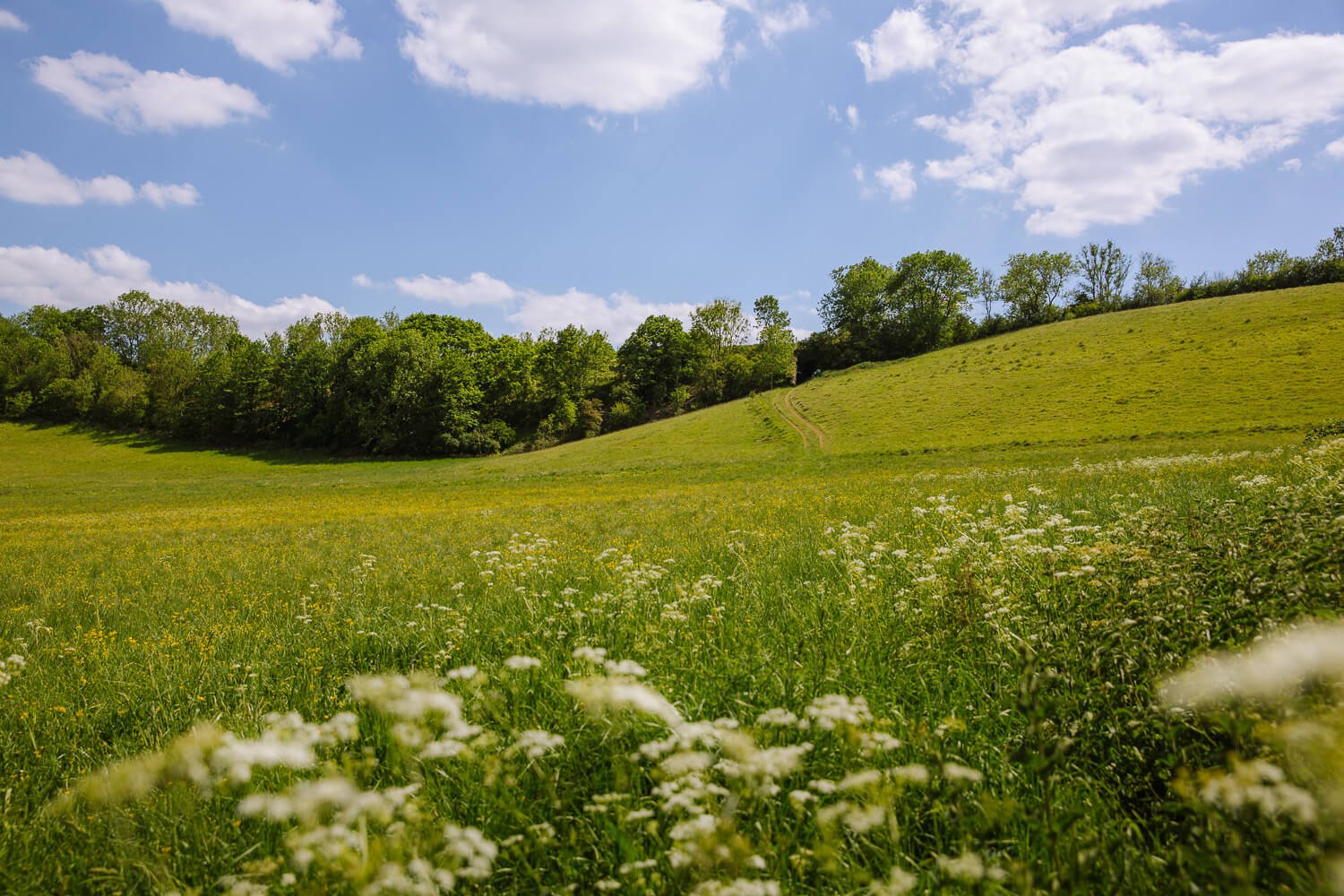 6 Circular Walks In The Cotswolds + Maps & Instructions