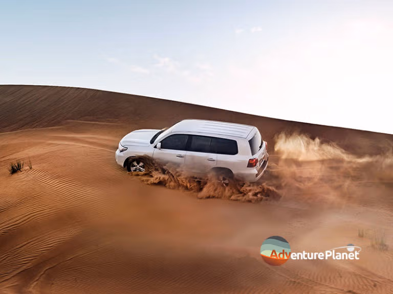 Desert Safari Dubai Tour plus Enjoying Dhow Cruise Marina