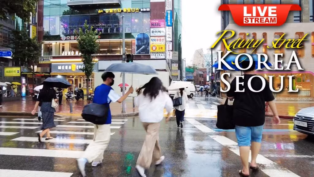 Beautiful Rainy Seoul Walking Tour- Daehakro rainy street - Korea Four seasons Travel Vlog LIVE TV18