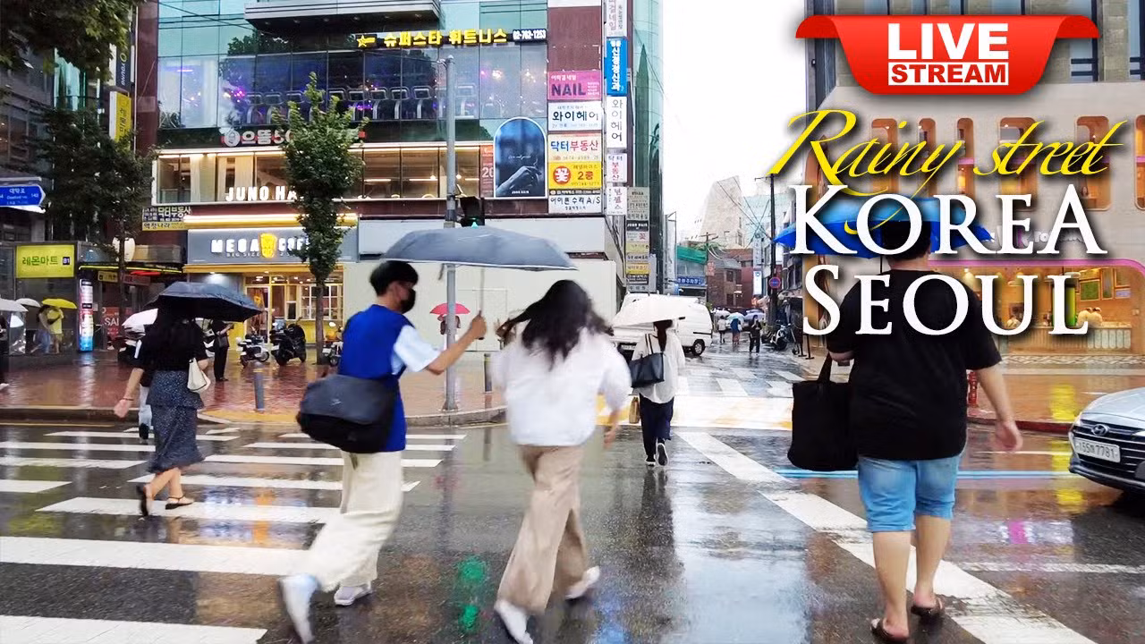 Beautiful Rainy Seoul Walking Tour- Daehakro rainy street - Korea Four seasons Travel Vlog LIVE TV18